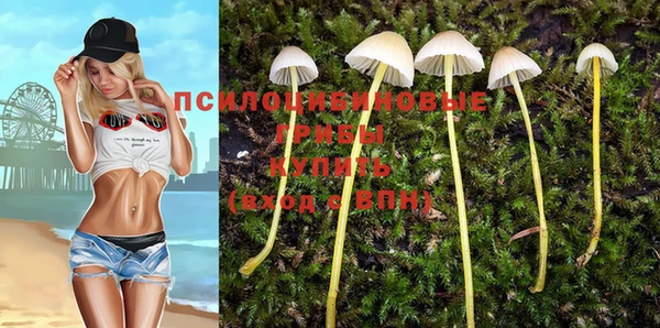 МДМА Белокуриха