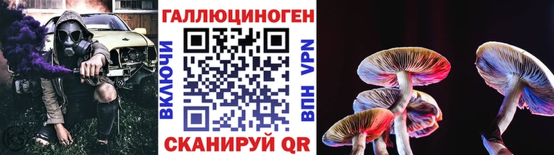 Купить  Нерчинск  Псилоцибиновые грибы ЛСД 